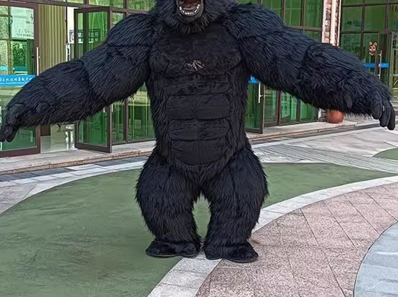 Disfraz de gorila inflable de  - Anime Cosplay Real Life reseña y precio