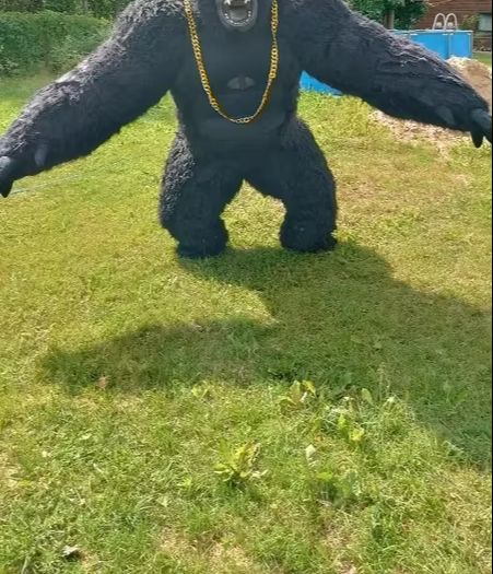 Disfraz de gorila inflable de  - Anime Cosplay Real Life reseña y precio