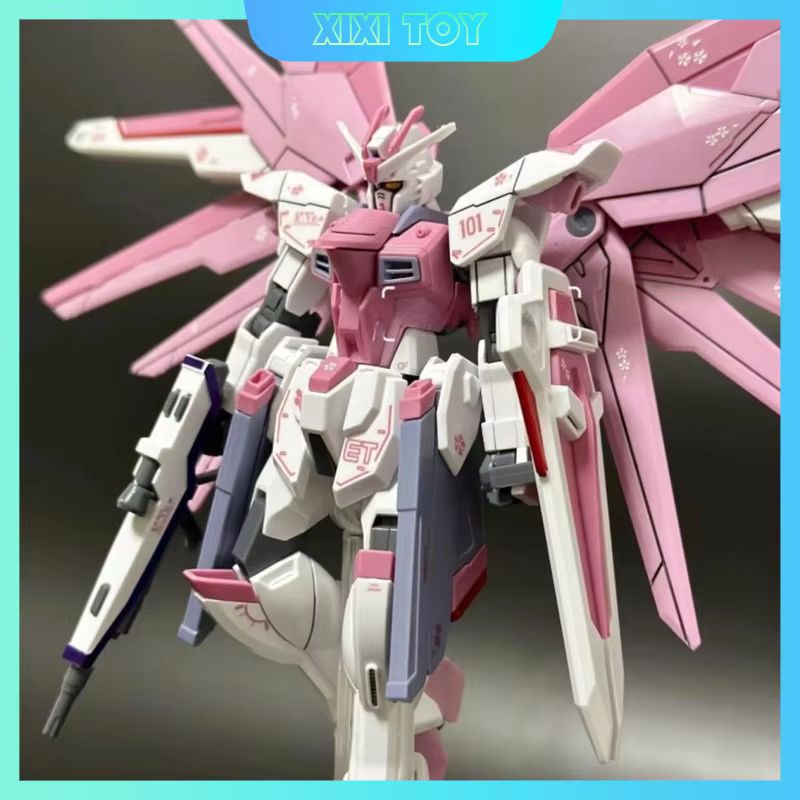 JMS HG 1/144 ZY-06 Freedom Ass - Bandai Gundam Rg reseña y precio