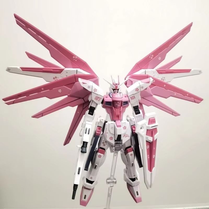 JMS HG 1/144 ZY-06 Freedom Ass - Bandai Gundam Rg reseña y precio