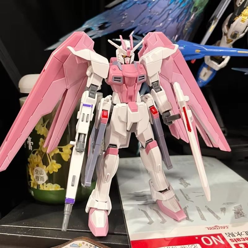JMS HG 1/144 ZY-06 Freedom Ass - Bandai Gundam Rg reseña y precio