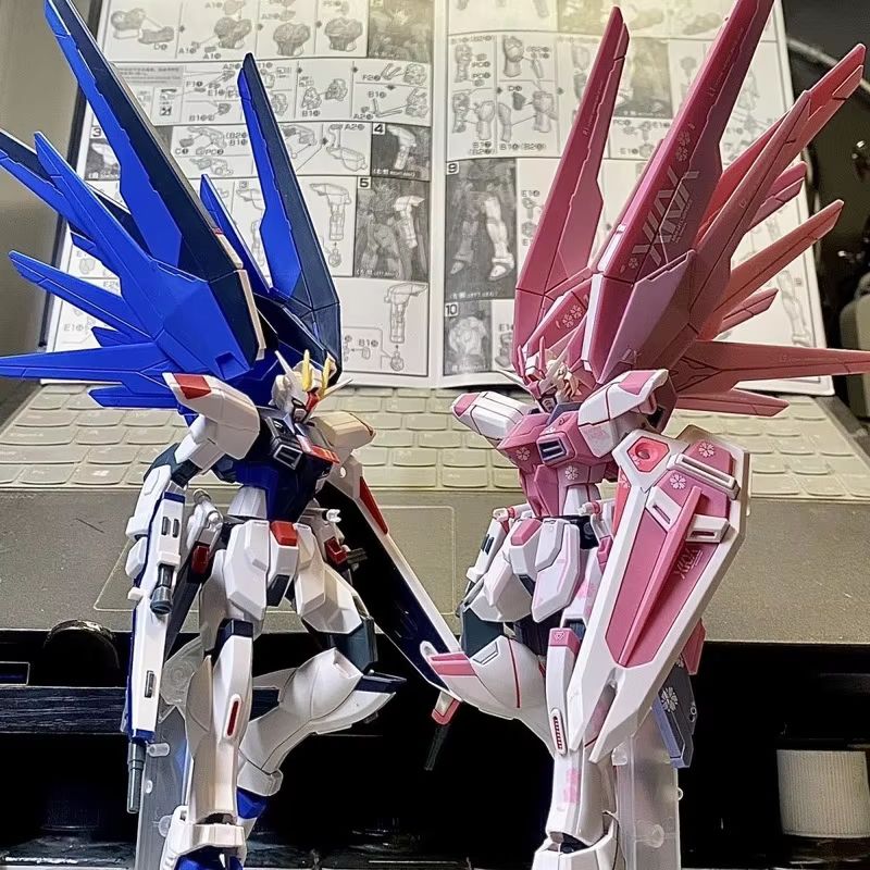 JMS HG 1/144 ZY-06 Freedom Ass - Bandai Gundam Rg reseña y precio